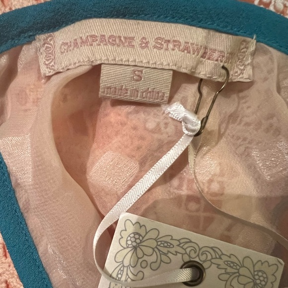 Anthropologie dress- Champagne & Strawberry - Picture 8 of 8